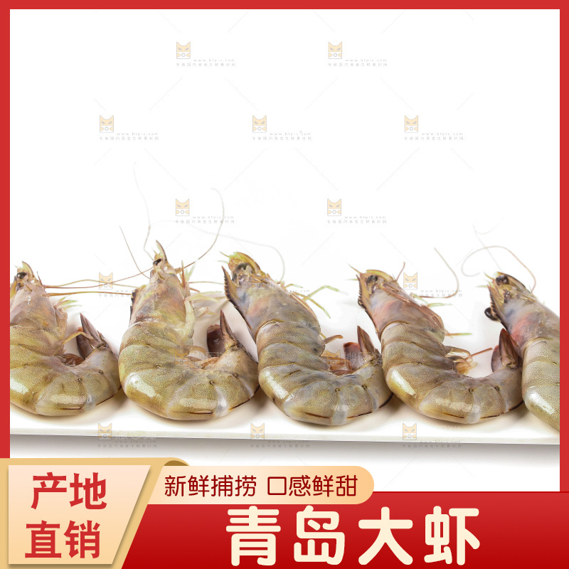 白底上的大虾