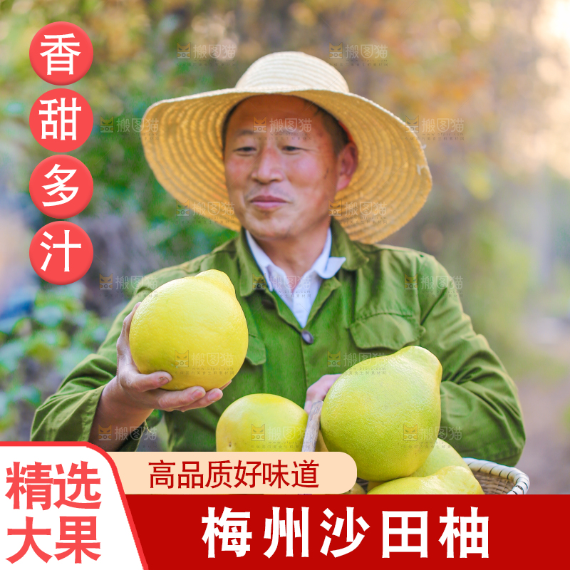 手里拿着沙田柚