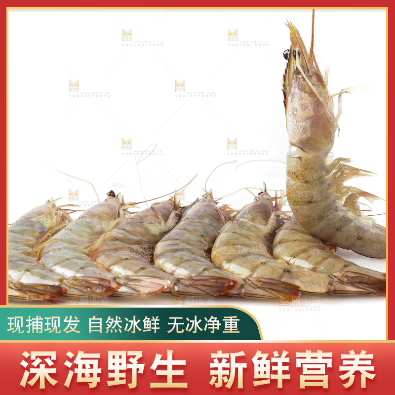 白底上的大虾