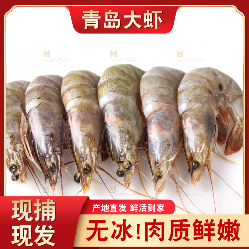 白底上的大虾