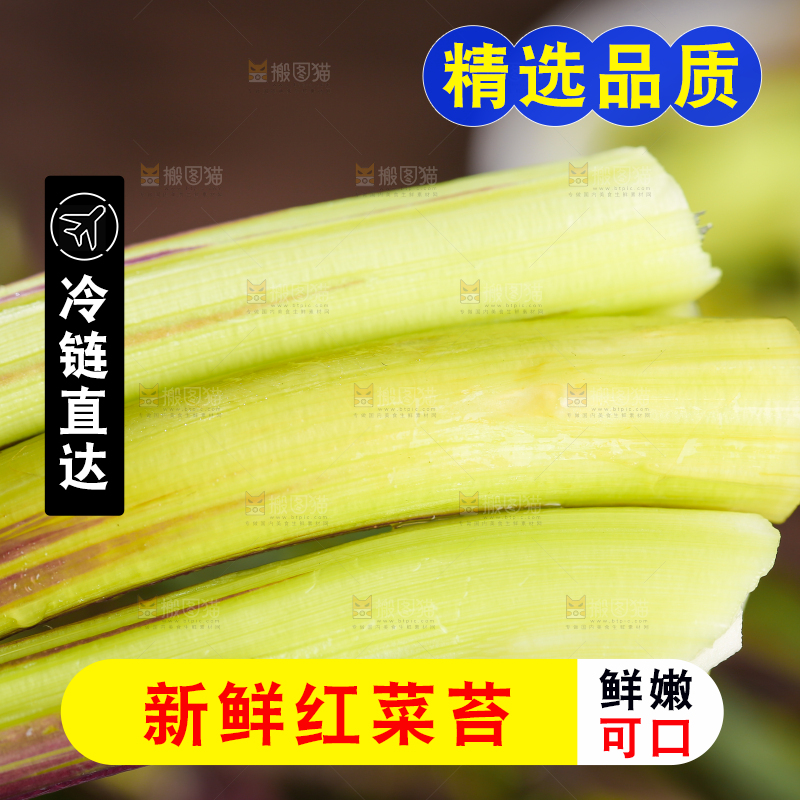 深底上的红菜苔