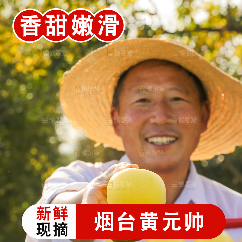 手里拿着黄元帅苹果