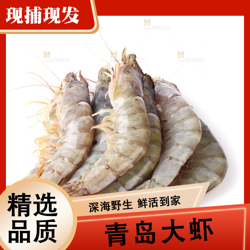 白底上的大虾