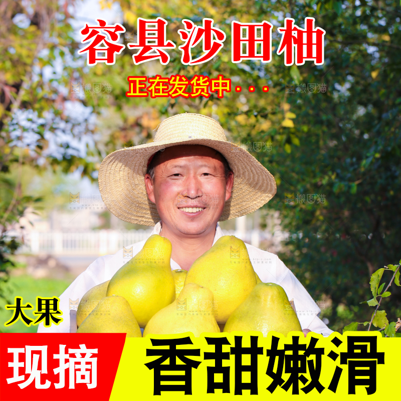 手里拿着沙田柚