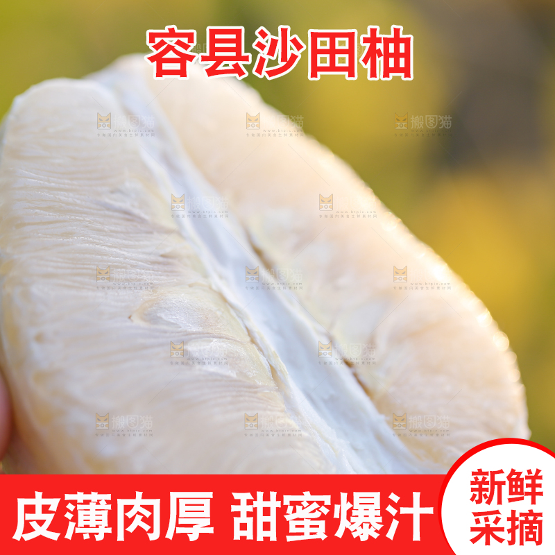 手里拿着沙田柚