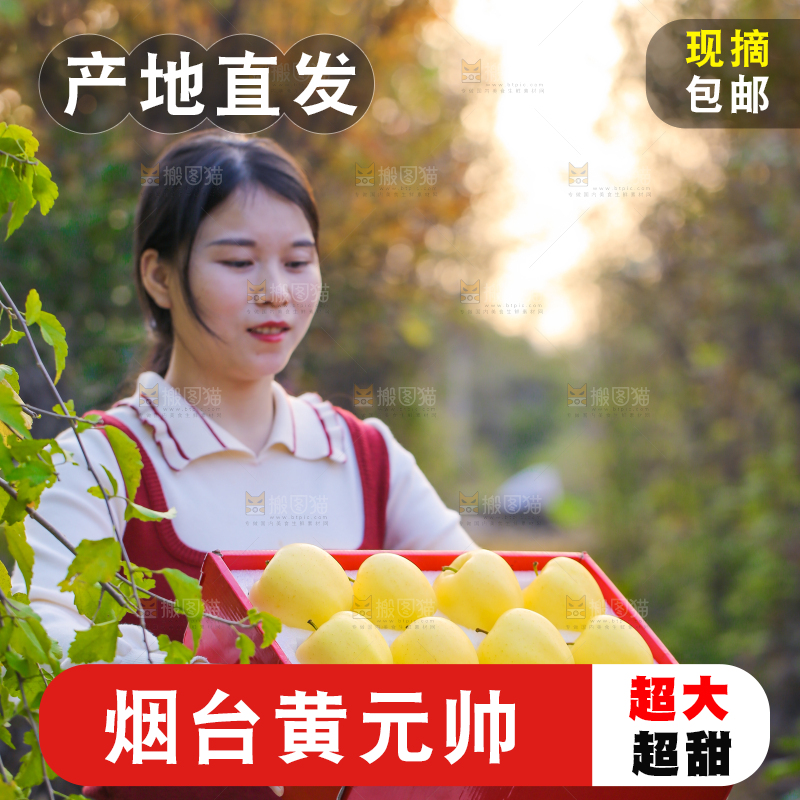手里拿着黄元帅苹果
