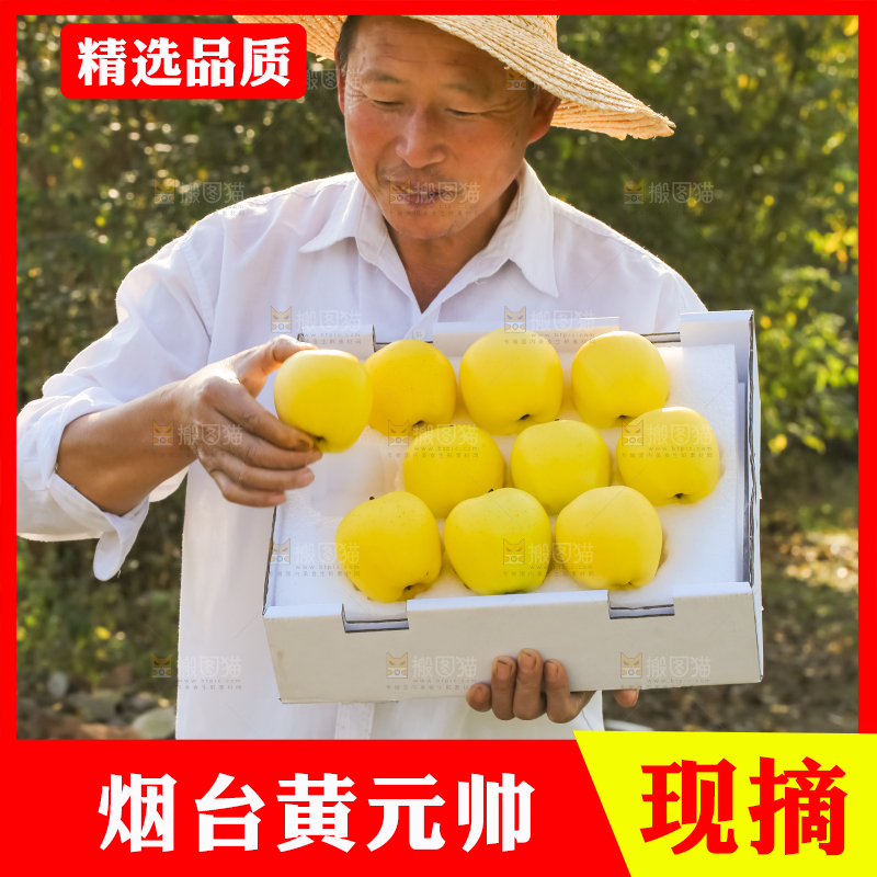 手里拿着黄元帅苹果