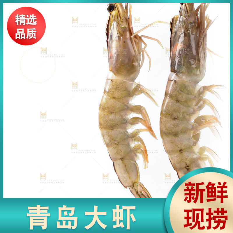 白底上的大虾