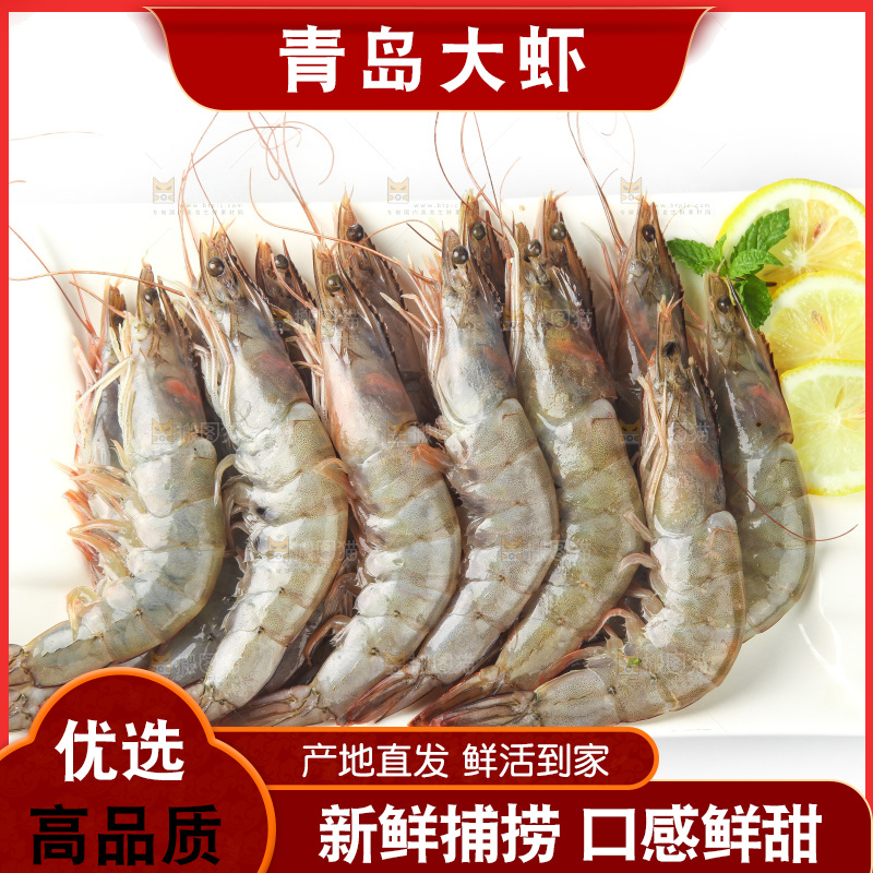 白底上的大虾