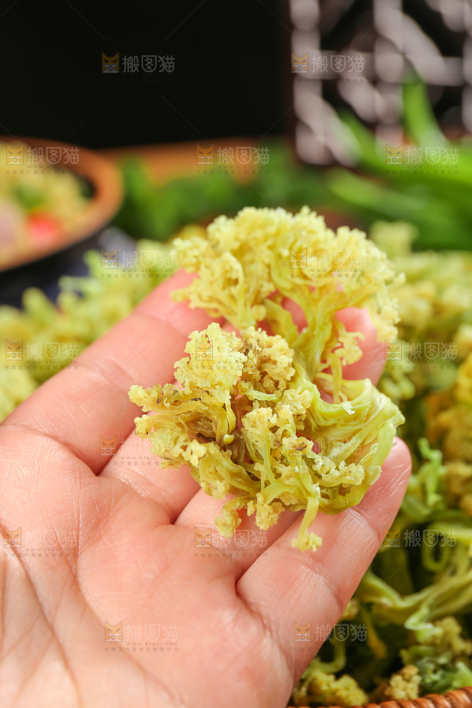 干花菜