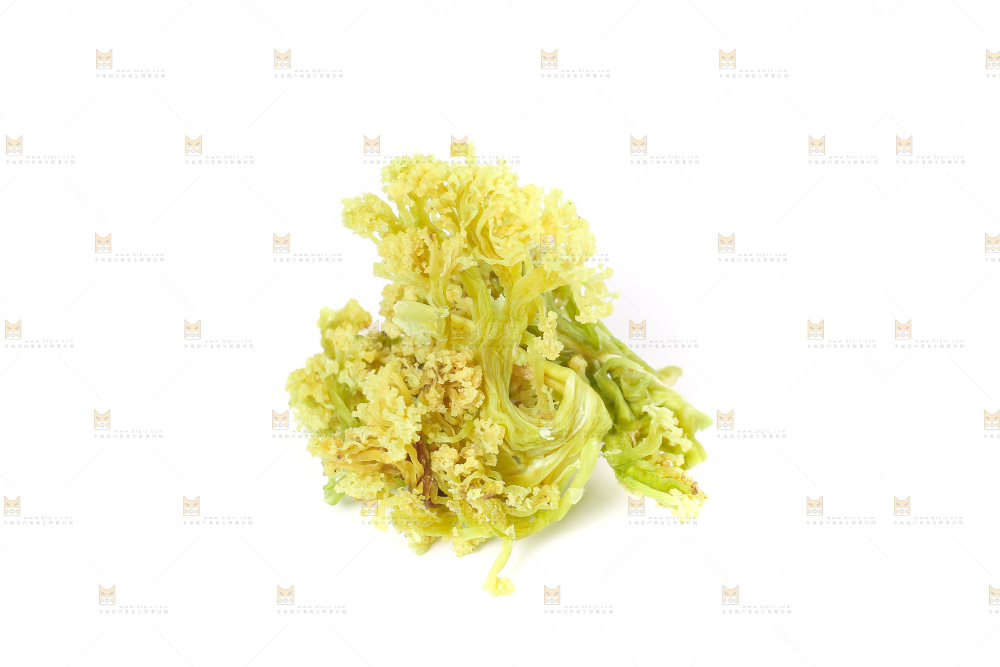 白底上的干花菜