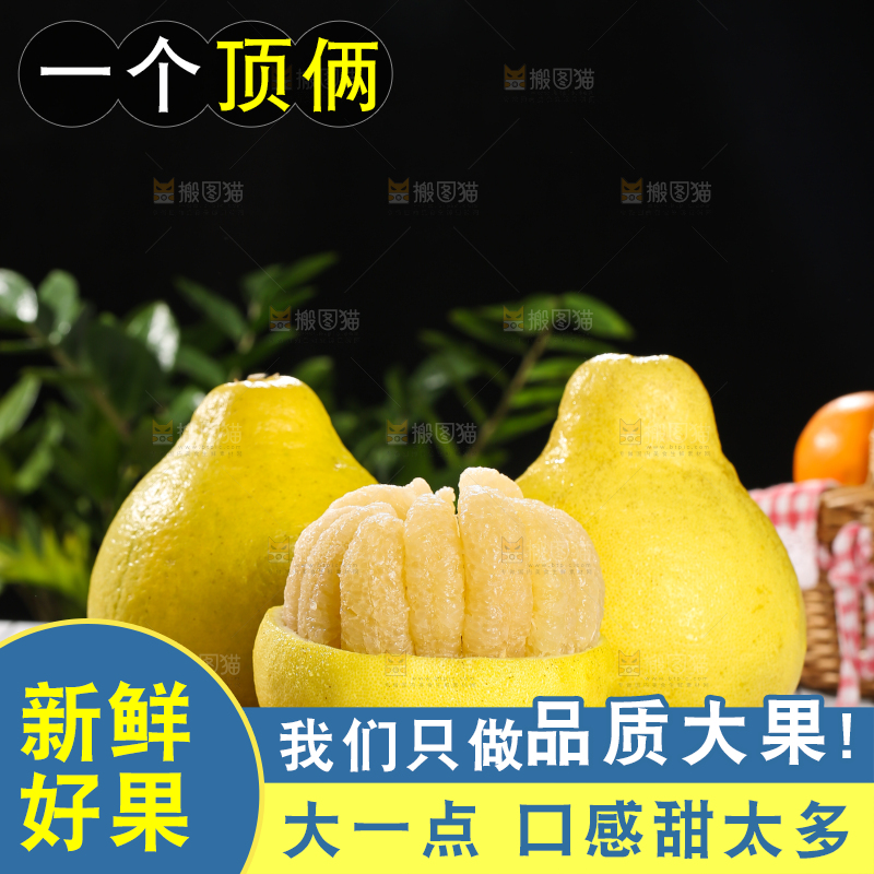 浅底上的沙田柚