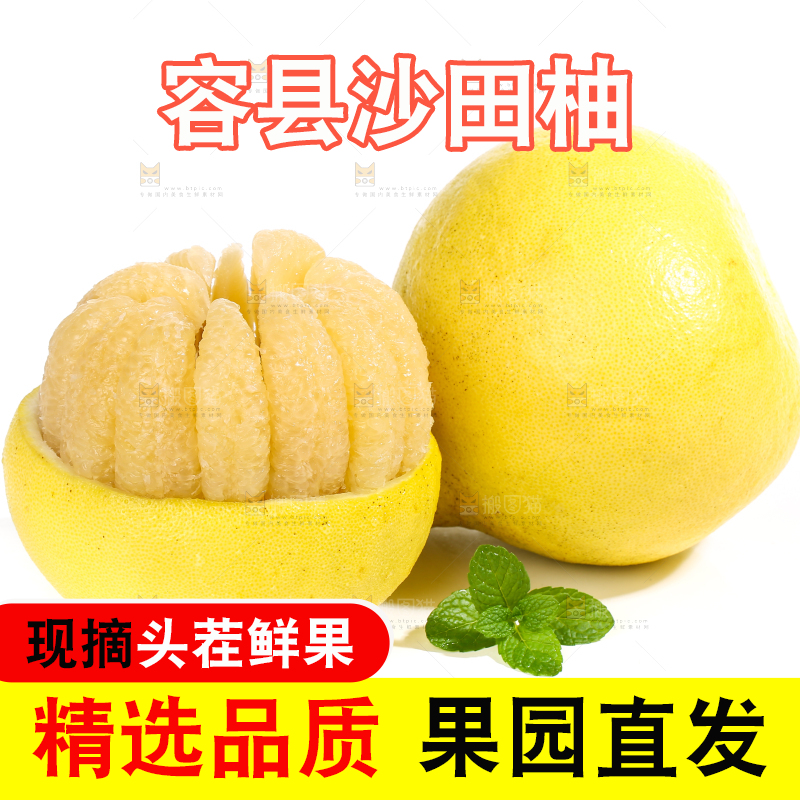 白底上的沙田柚