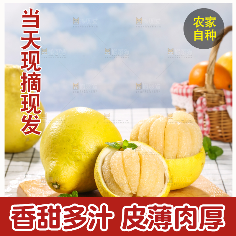 浅底上的沙田柚
