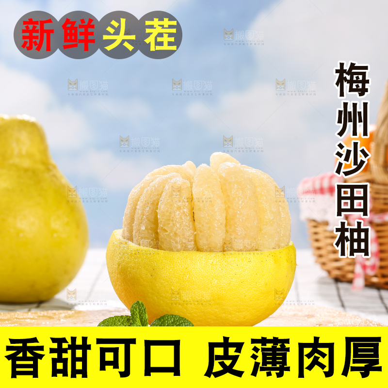 浅底上的沙田柚