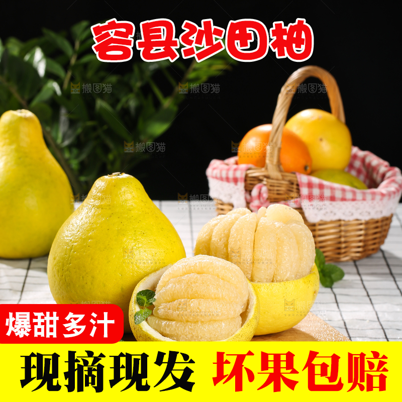 浅底上的沙田柚