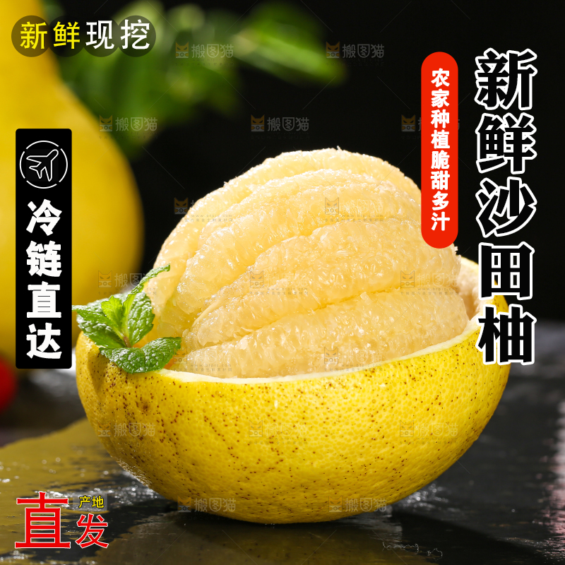 沙田柚主图