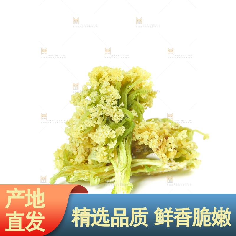 白底上的干花菜