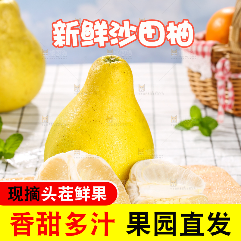 浅底上的沙田柚