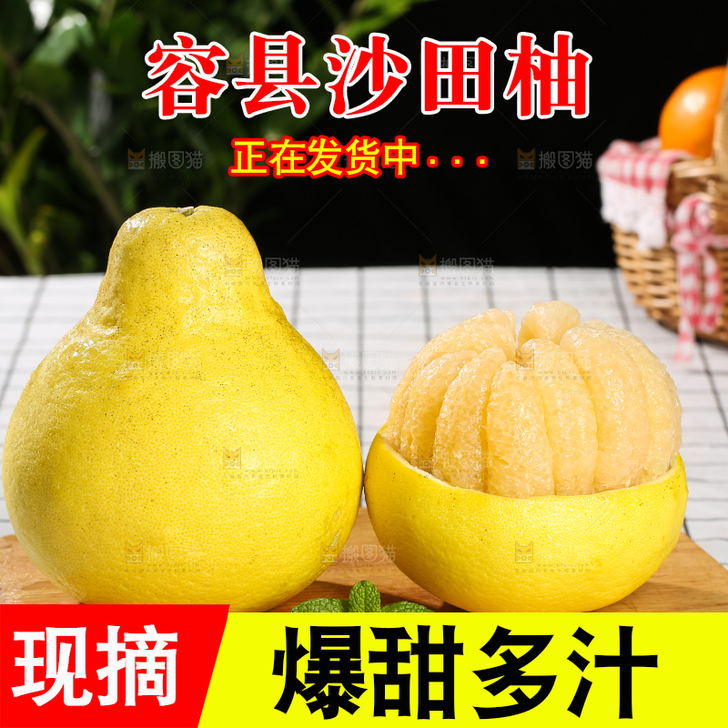 浅底上的沙田柚