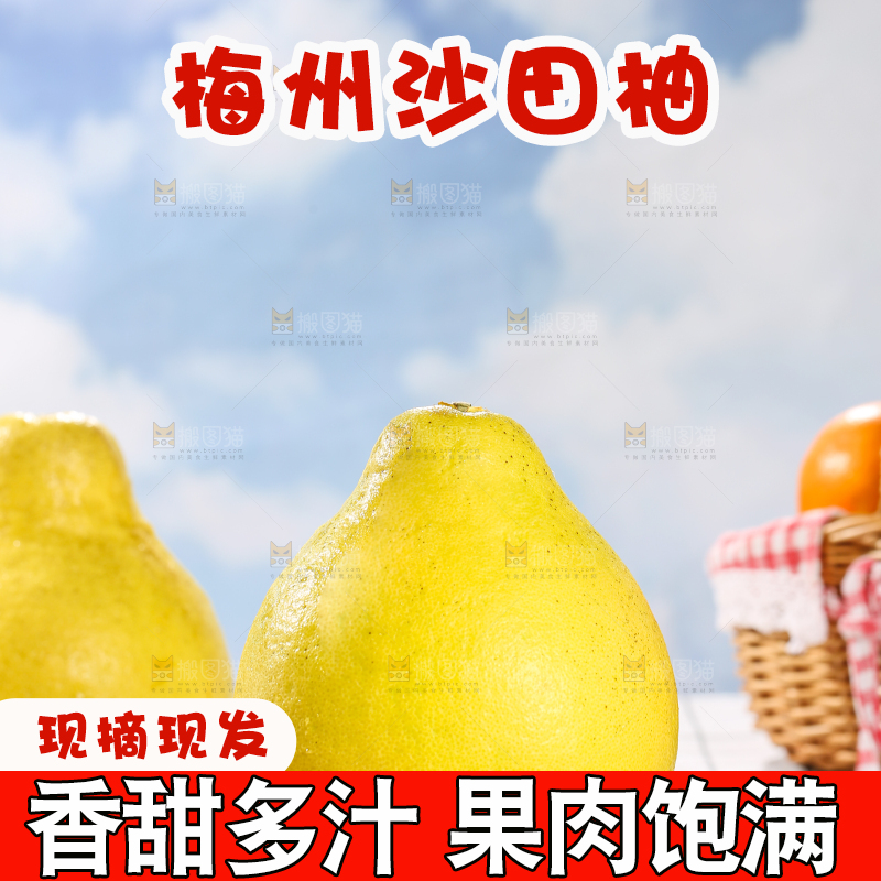 浅底上的沙田柚