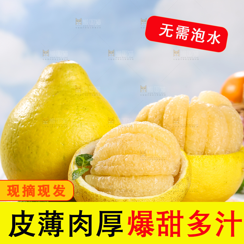 浅底上的沙田柚