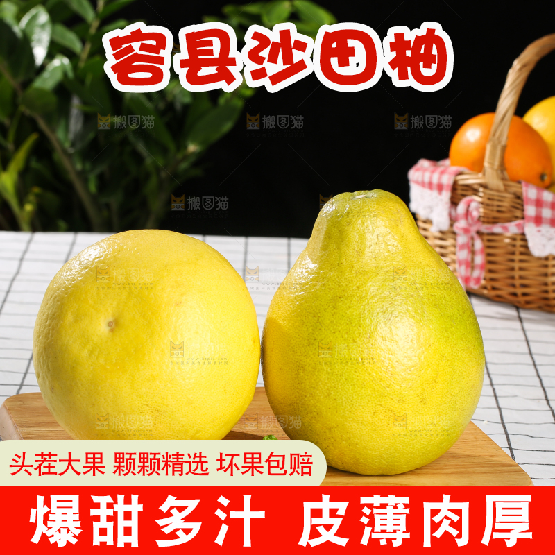 浅底上的沙田柚