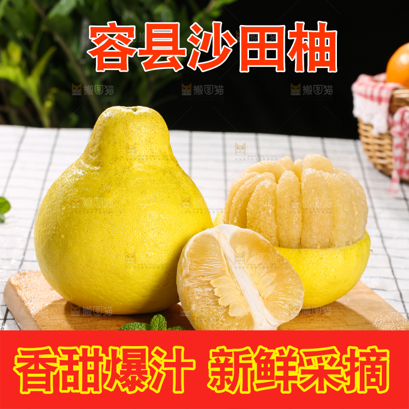 浅底上的沙田柚