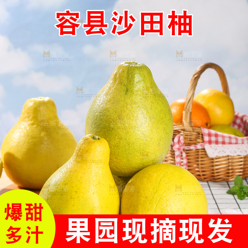 浅底上的沙田柚