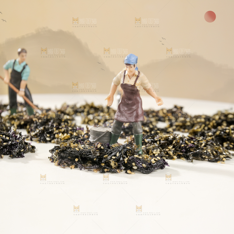 白底上的海苔碎