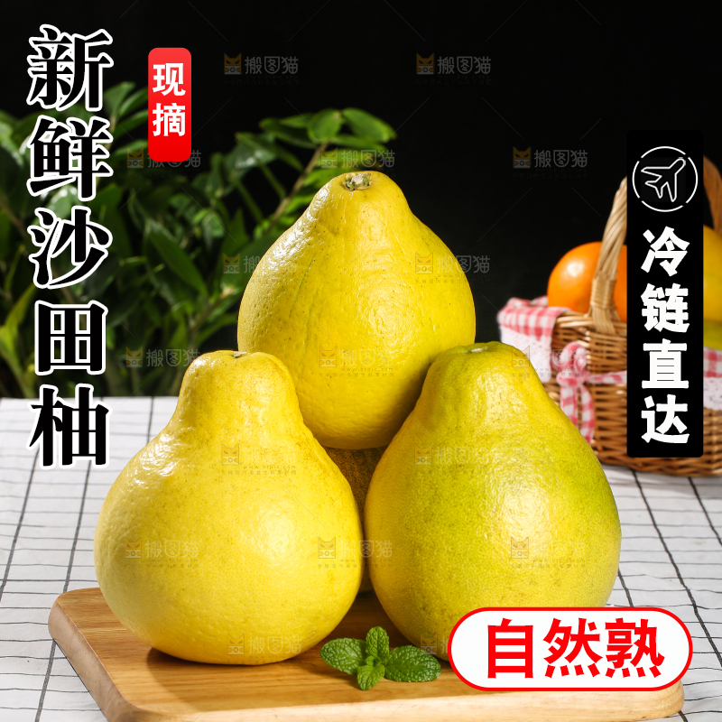 浅底上的沙田柚