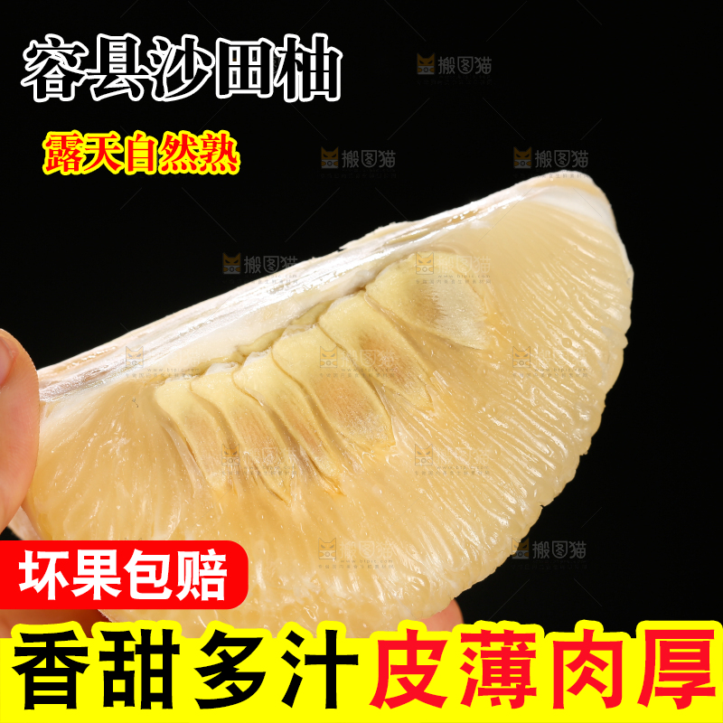 浅底上的沙田柚