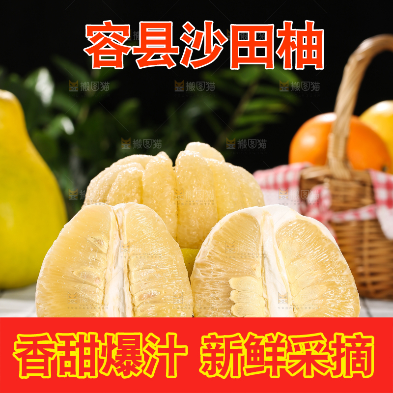 浅底上的沙田柚
