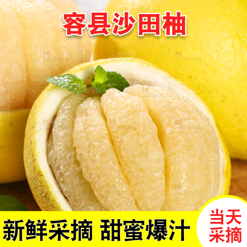 浅底上的沙田柚