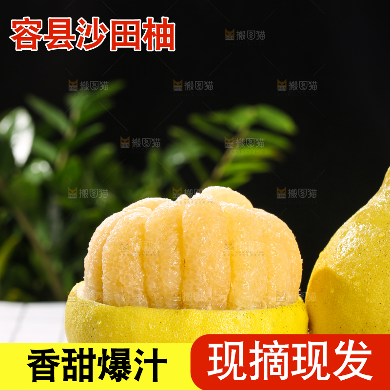 浅底上的沙田柚