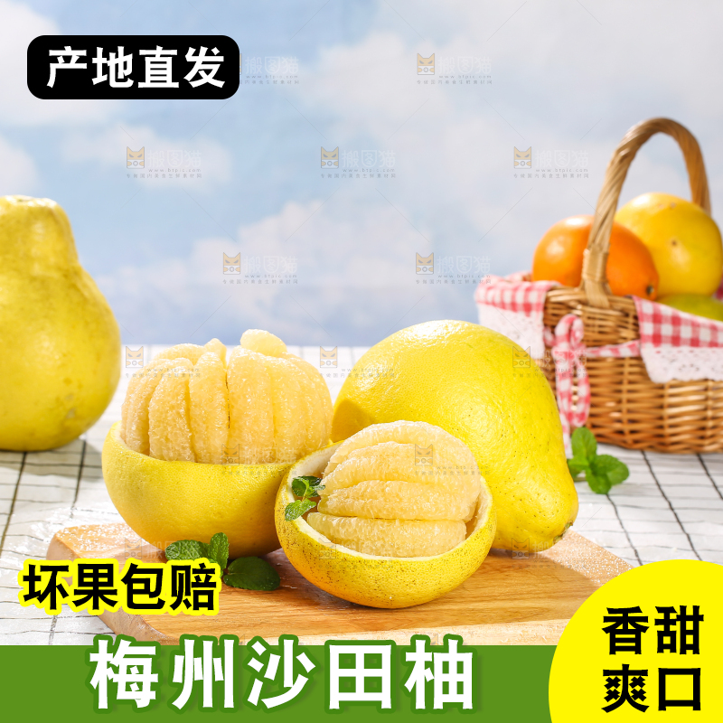 浅底上的沙田柚