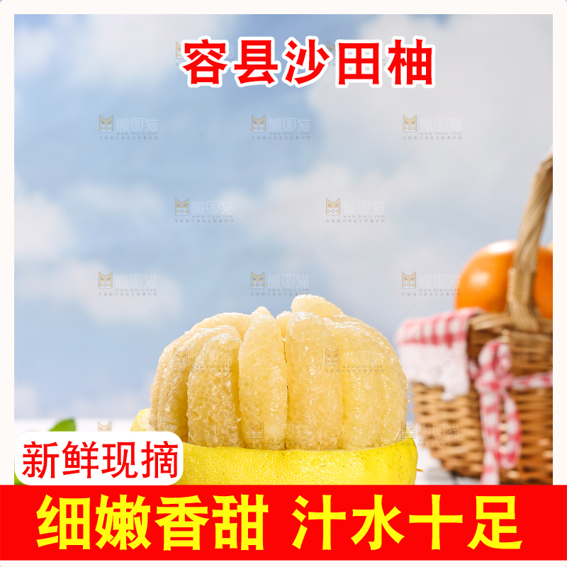 浅底上的沙田柚