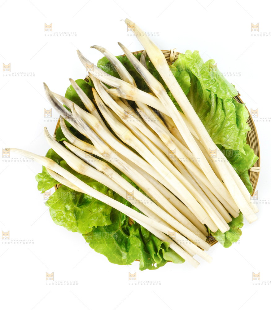 白底上的新鲜藕带