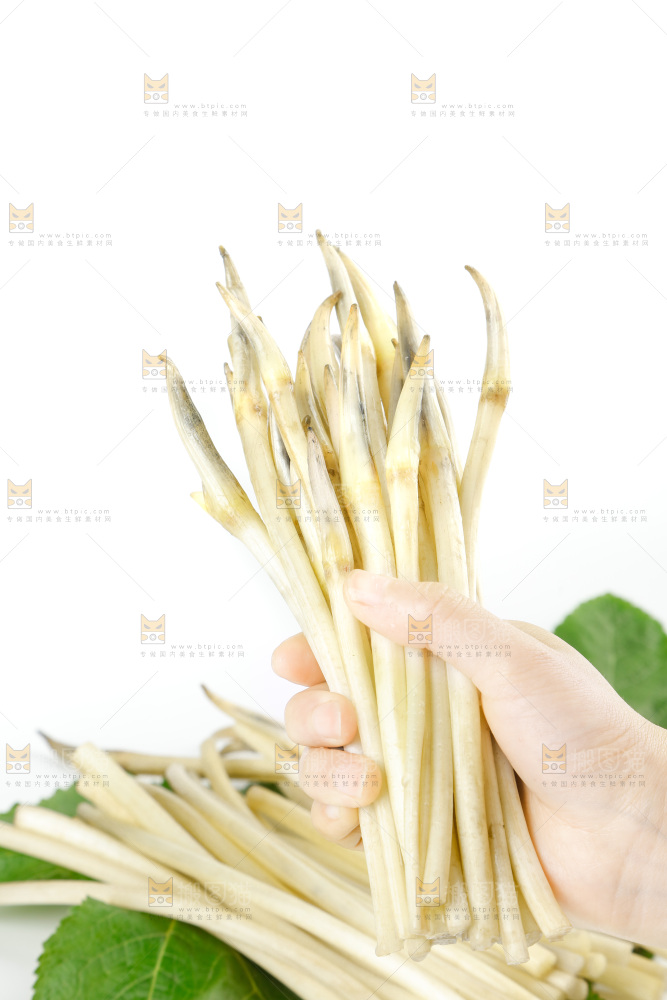 白底上的新鲜藕带