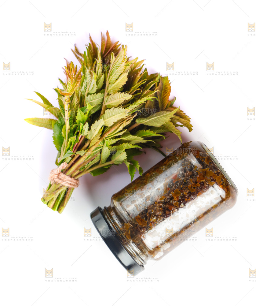 白底上的香椿酱