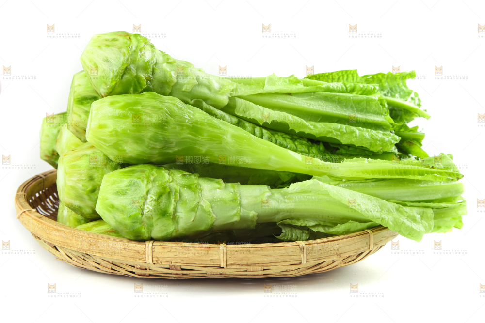 白底上的新鲜莴笋