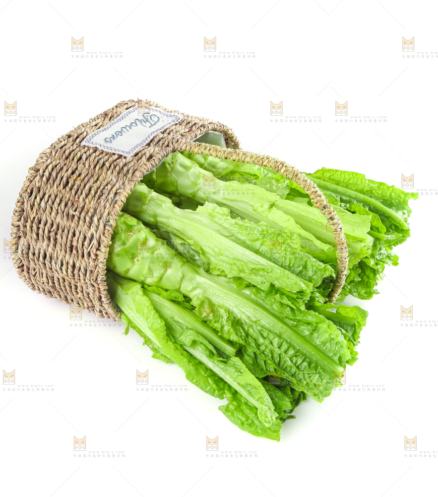 白底上的新鲜莴笋