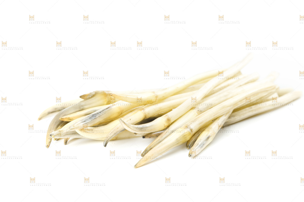 白底上的新鲜藕带