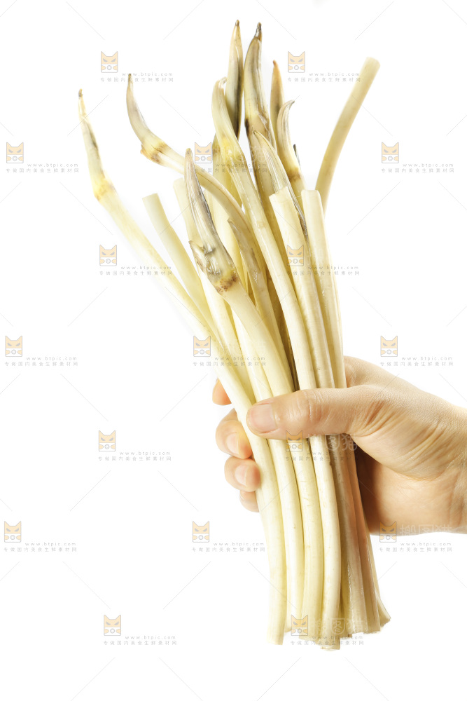 白底上的新鲜藕带