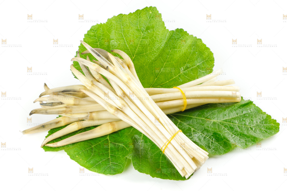 白底上的新鲜藕带