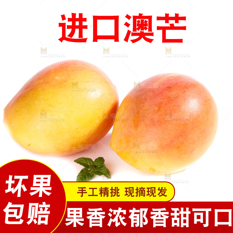 白底上的澳芒