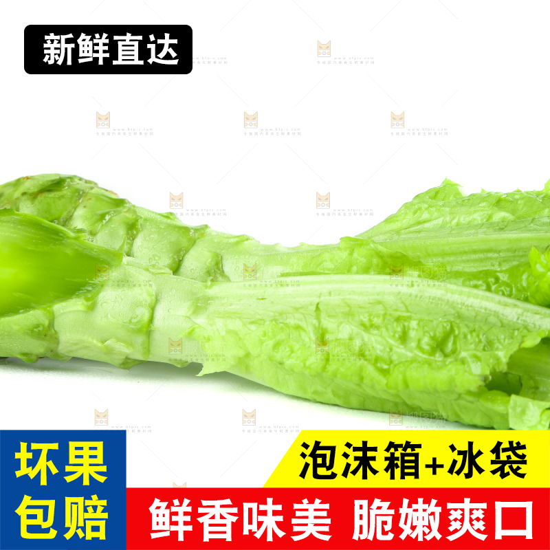 白底上的新鲜莴笋