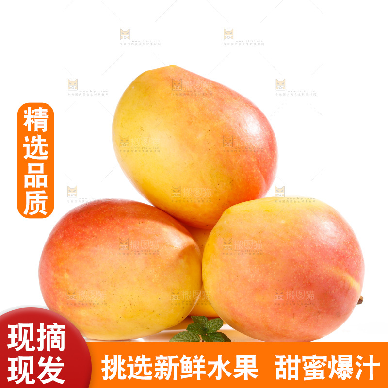 白底上的澳芒