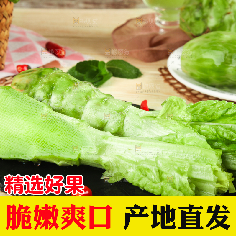 浅底上的莴笋