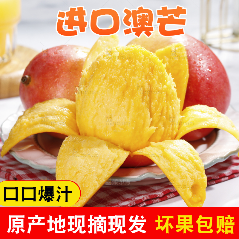 浅底上的澳芒